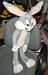 /assets/media/photos/images/bugsbunny.jpg